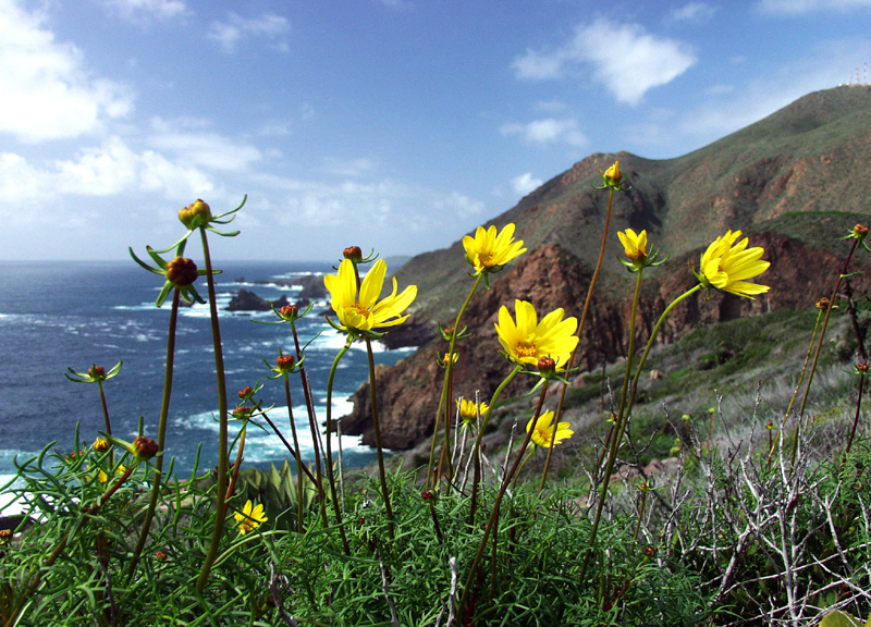 Baja Coast 5e7a41da354aa