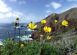 Baja Coast 5e7a41da354aa Baja Coast 5e7a41da354aa