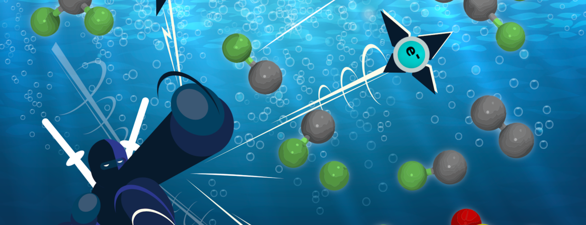 Pfas Ninja 5e6f808a4e7c5