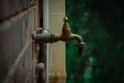 Jj Badenhorst D10 Dv9i C4i I Unsplash 5e7bb4abdb553 Jj Badenhorst D10 Dv9i C4i I Unsplash 5e7bb4abdb553