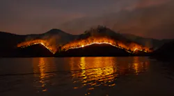 Wildfire 4755030