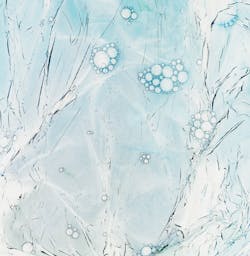 Annie Spratt N6lirule7bg Unsplash 5e8df2bd18016 Annie Spratt N6lirule7bg Unsplash 5e8df2bd18016