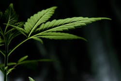 Esteban Lopez K6g3q Sn Y Io Unsplash 5e9724453231d Esteban Lopez K6g3q Sn Y Io Unsplash 5e9724453231d