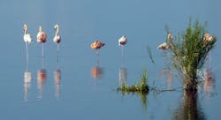 Website 1 5ec696d9a8b10 Website 1 5ec696d9a8b10