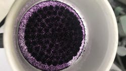 A study finds that self-assembling molecular traps interact with certain PFAS. The traps, photographed here, are microcrystals that are purple in color. A study finds that self-assembling molecular traps interact with certain PFAS. The traps, photographed here, are microcrystals that are purple in color.