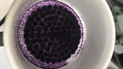 A study finds that self-assembling molecular traps interact with certain PFAS. The traps, photographed here, are microcrystals that are purple in color.