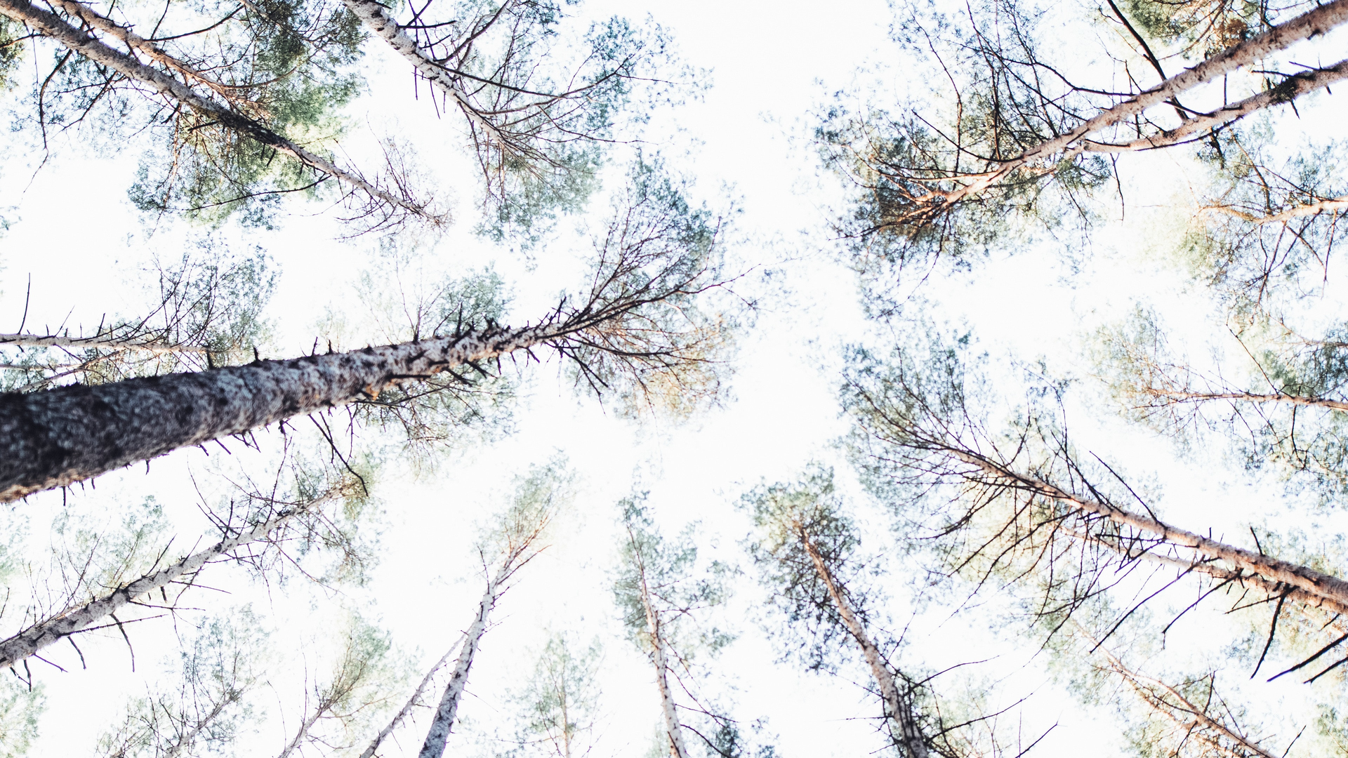 Markus Spiske Iq A Eci Z Ba M Unsplash