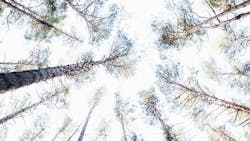 Markus Spiske Iq A Eci Z Ba M Unsplash 5ee3b2f86ad4d Markus Spiske Iq A Eci Z Ba M Unsplash 5ee3b2f86ad4d