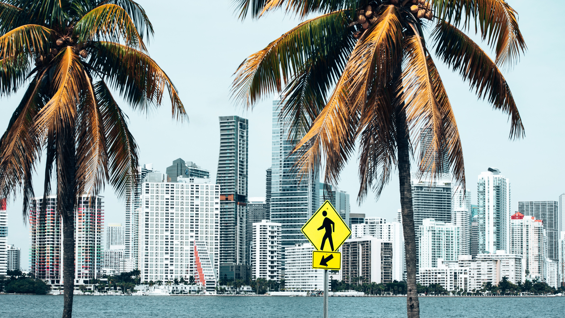 Palm Trees Near Building 3663416 5ed95ca38ee83