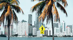 Palm Trees Near Building 3663416