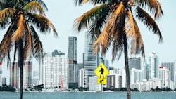 Palm Trees Near Building 3663416 5ed95ca38ee83 Palm Trees Near Building 3663416 5ed95ca38ee83