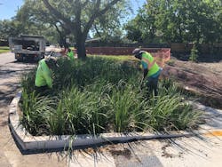 Intensive planting on open spaces has helped divert some storm-related flooding as part of the City of New Orleans&rsquo; green infrastructure plan.