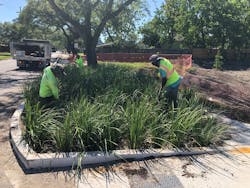 Intensive planting on open spaces has helped divert some storm-related flooding as part of the City of New Orleans’ green infrastructure plan. Intensive planting on open spaces has helped divert some storm-related flooding as part of the City of New Orleans’ green infrastructure plan.