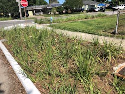 Bioswales, like this one in the Pontilly neighborhood, reduce the total amount of stormwater that gets to the streets following a major rainfall.