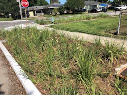 Bioswales, like this one in the Pontilly neighborhood, reduce the total amount of stormwater that gets to the streets following a major rainfall. Bioswales, like this one in the Pontilly neighborhood, reduce the total amount of stormwater that gets to the streets following a major rainfall.