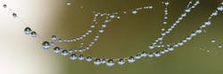 Beaded Beads Blur Bubble 276258 5f1ef0427e8f7 Beaded Beads Blur Bubble 276258 5f1ef0427e8f7