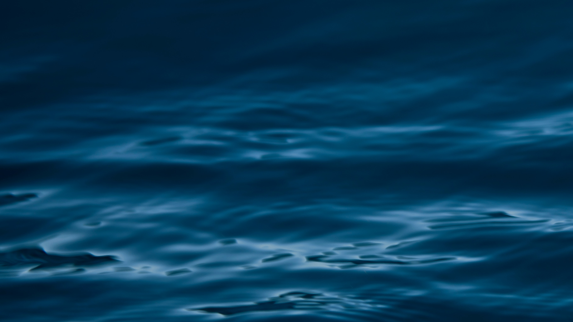 Pexels Tim Mossholder 1439226 5f3d41695c44e