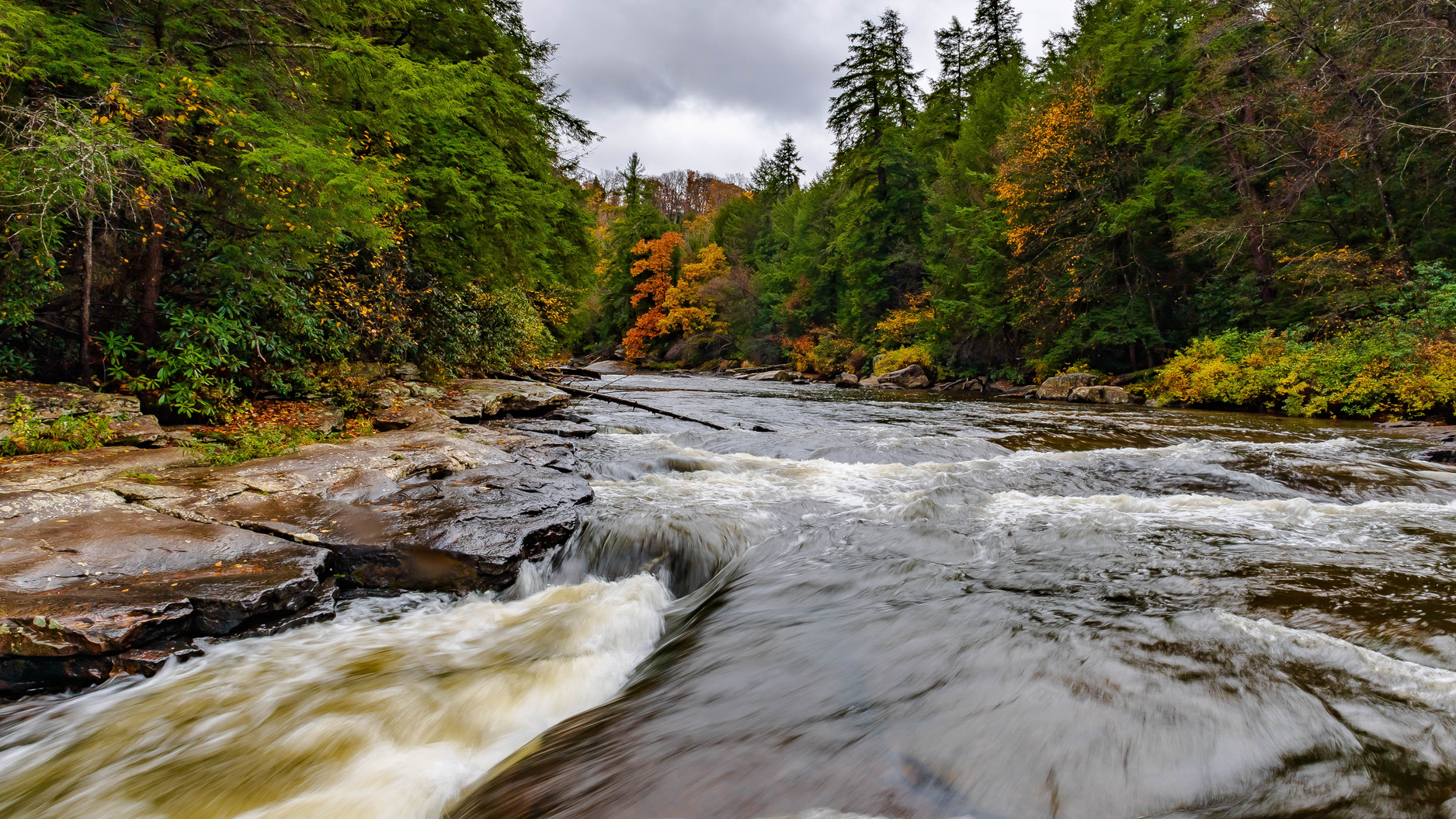 Swallow Falls, Maryland.