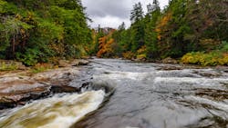 Swallow Falls, Maryland. Swallow Falls, Maryland.