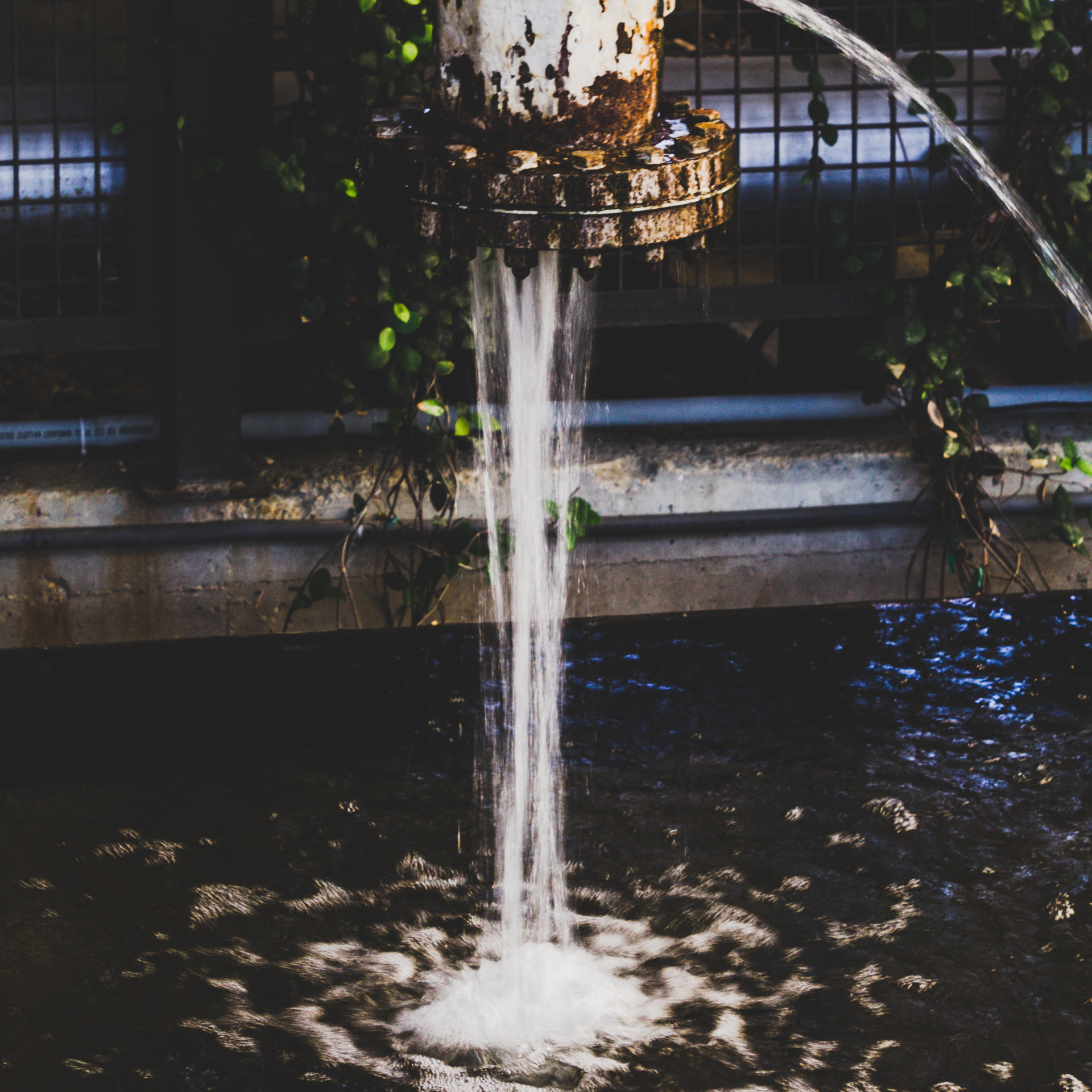 Pexels Fabio Lima 770224 5f2d7e893a412