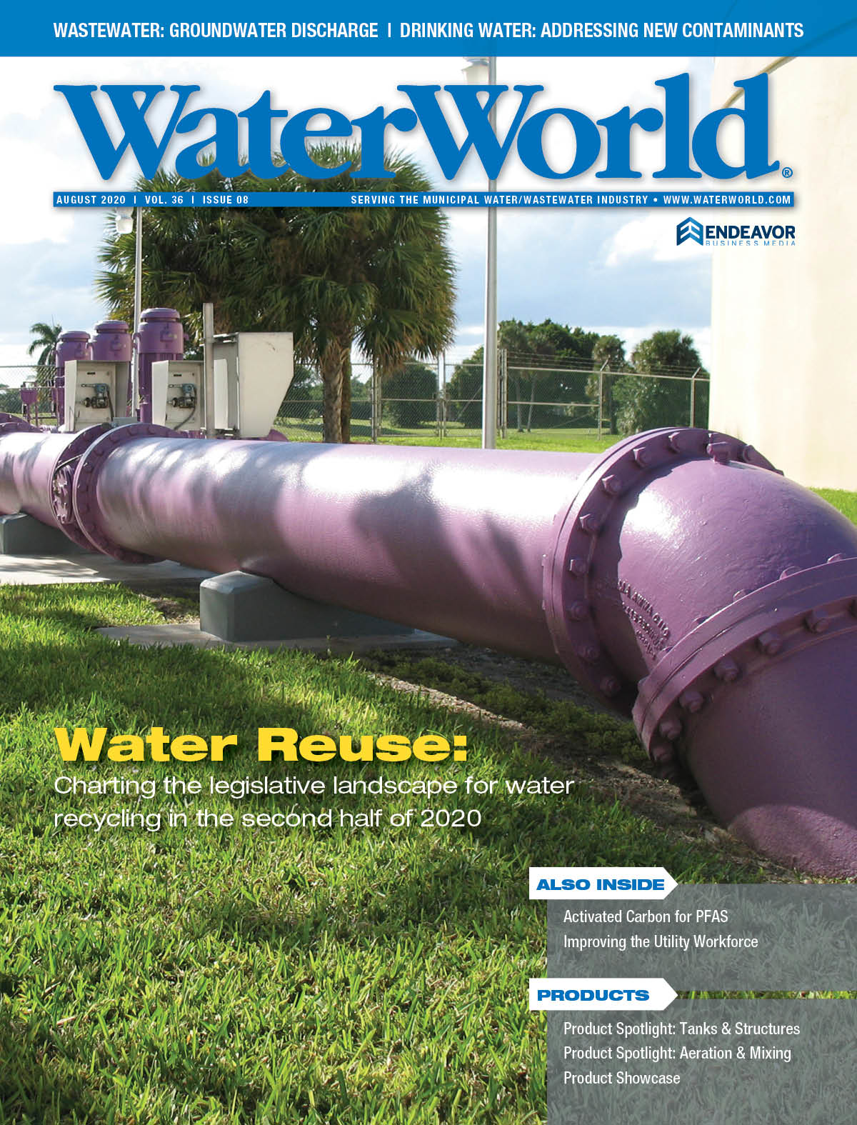 Volume 36, Issue 8, August 2020 cover image