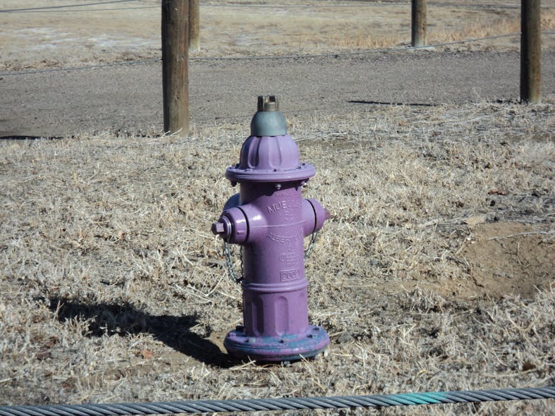 A purple fire hydrant in Aurora, Colo., is connected to a recycled water line.