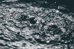 Pexels Oleg Magni 4200978 5f2c3318e7d7c Pexels Oleg Magni 4200978 5f2c3318e7d7c