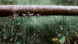 Pexels Eberhard Grossgasteiger 4406605 5f51416014a51 Pexels Eberhard Grossgasteiger 4406605 5f51416014a51