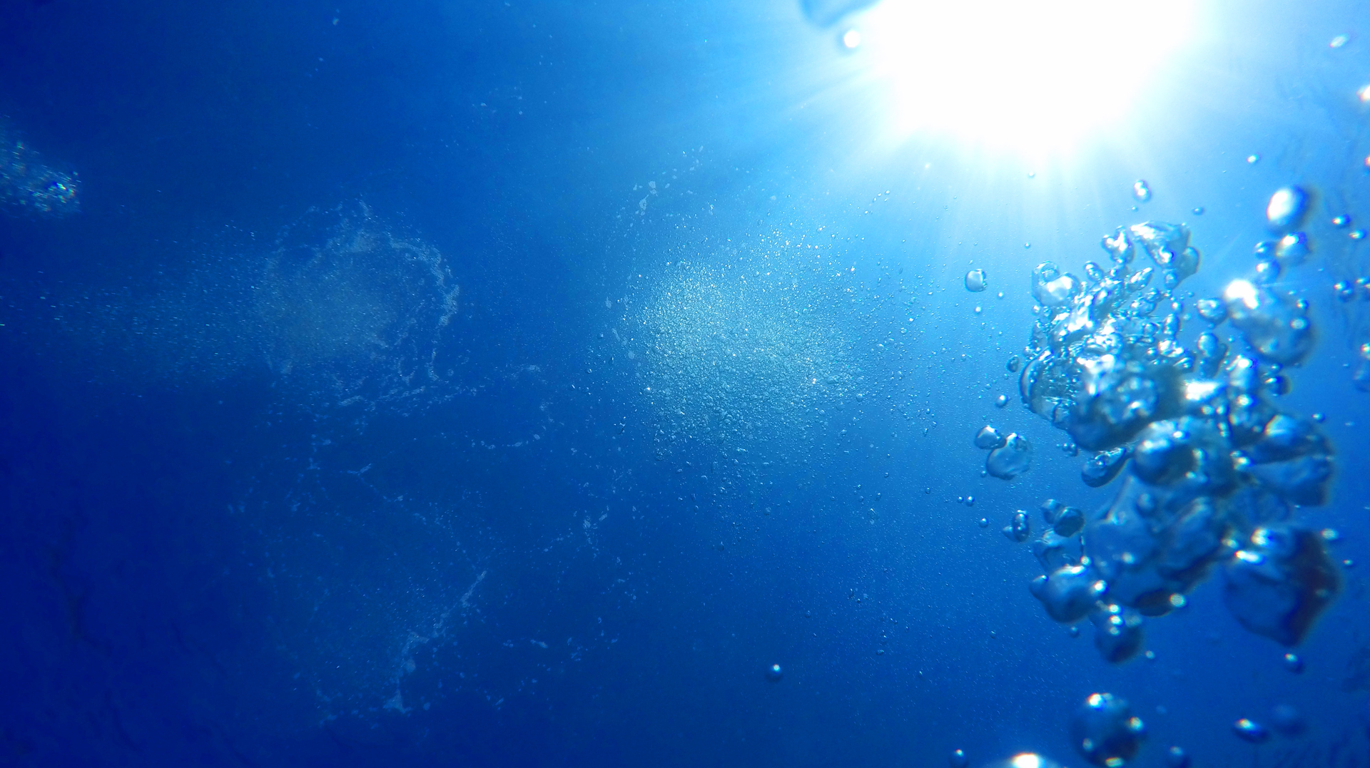 Pexels Linda Heyworth 2234858 5f4ff99de0617