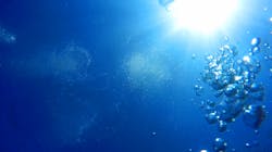 Pexels Linda Heyworth 2234858 5f4ff99de0617 Pexels Linda Heyworth 2234858 5f4ff99de0617