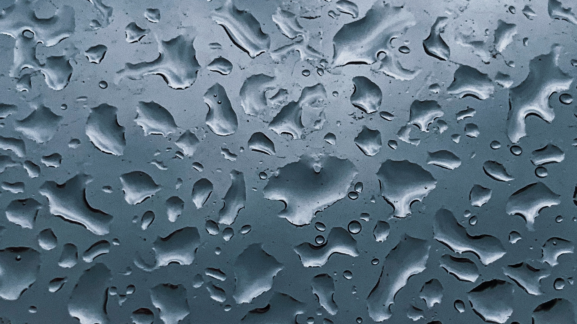 Pexels Dids 4420454 5f7cd13cee420