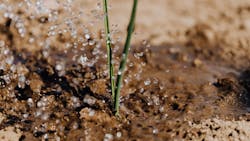 Pexels Karolina Grabowska 4207907 5f7751456c1fb Pexels Karolina Grabowska 4207907 5f7751456c1fb