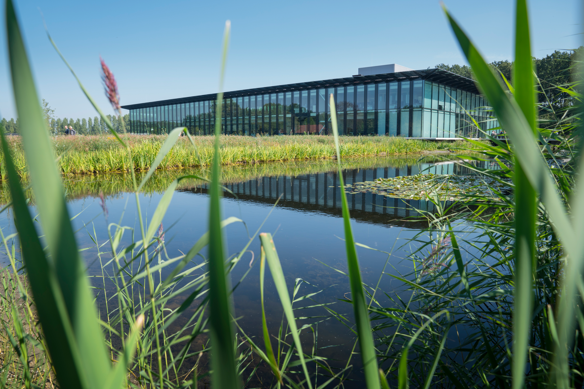 Kwr Hq 1 5f7ccdf5ef69a