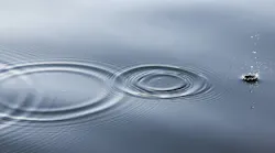 Linus Nylund Q5 Qsplu N Zm M Unsplash