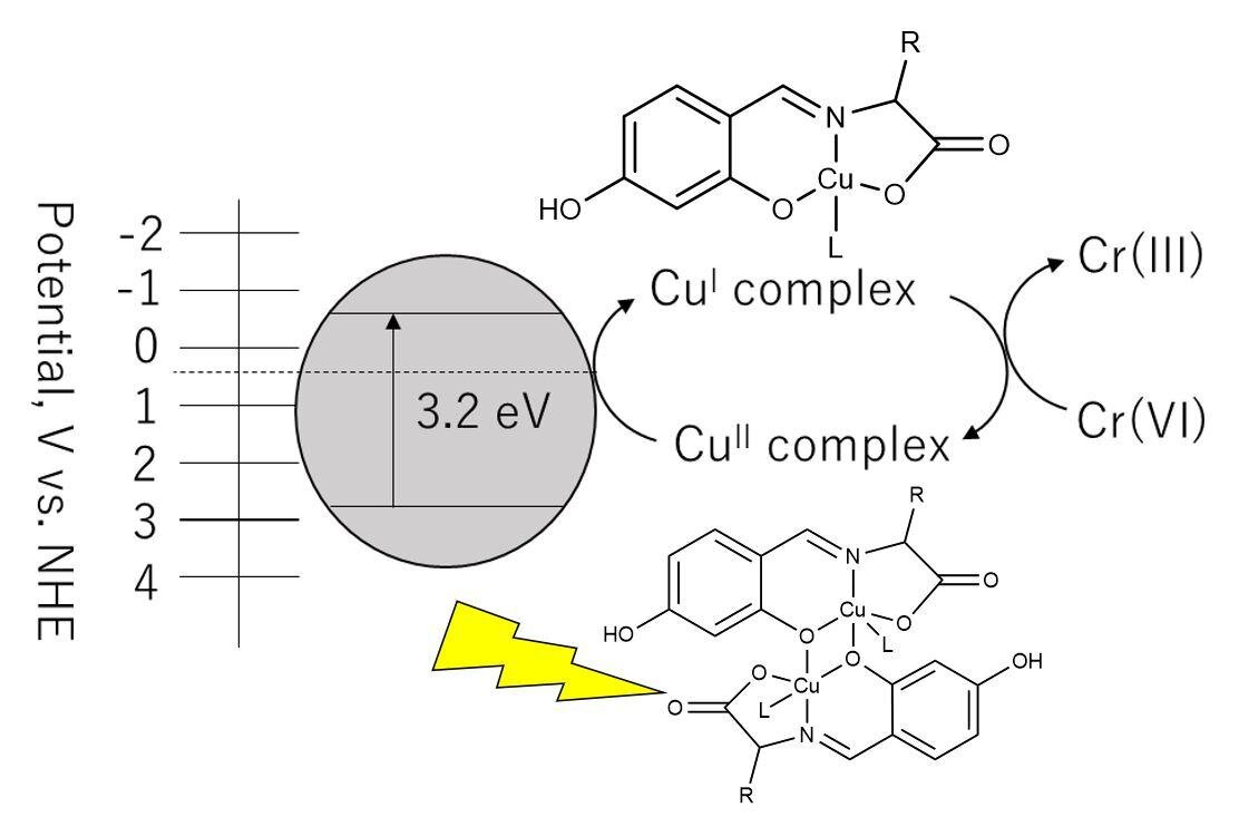 Scientists Develop New Approach To Mitigating Chromium Contamination In   Reductionbyr.5f9c2bdc79e4a 