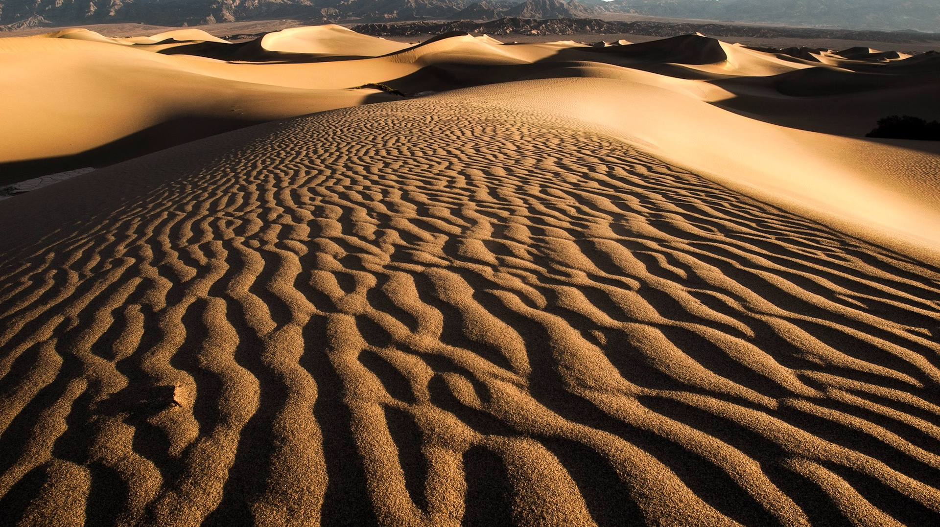 Pexels Trace Hudson 2471261 5fad6fafc0259