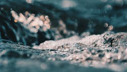 Vishal Banik G S59x G5jz Qw Unsplash 5fc4ff5819763 Vishal Banik G S59x G5jz Qw Unsplash 5fc4ff5819763