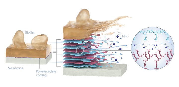 The removable polyelectrolyte coating prevents biofouling on desalination membranes and avoids the need for harmful chemicals to clean seawater desalination systems.
