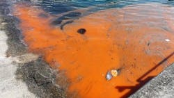 More than 100 scientists in 112 countries contributed to a synthesis and analysis of Harmful Algal Bloom data gathered from 1985 to 2018 -- a first-ever big data approach to detecting changes in the costly phenomenon's global distribution, frequency, and intensity. More than 100 scientists in 112 countries contributed to a synthesis and analysis of Harmful Algal Bloom data gathered from 1985 to 2018 -- a first-ever big data approach to detecting changes in the costly phenomenon's global distribution, frequency, and intensity.