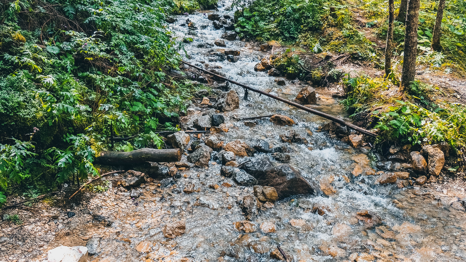 Greta Farnedi W Lp W Jvl4 Y0w Unsplash 5fd792d1e3724