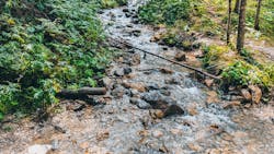 Greta Farnedi W Lp W Jvl4 Y0w Unsplash 5fd792d1e3724 Greta Farnedi W Lp W Jvl4 Y0w Unsplash 5fd792d1e3724