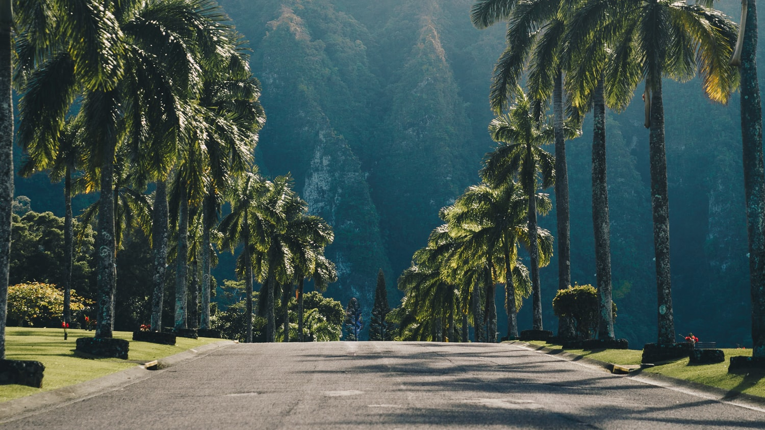 Guille Pozzi G3es K1u X Cj M Unsplash 5fd117c4e2494