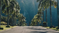 Guille Pozzi G3es K1u X Cj M Unsplash 5fd117c4e2494 Guille Pozzi G3es K1u X Cj M Unsplash 5fd117c4e2494