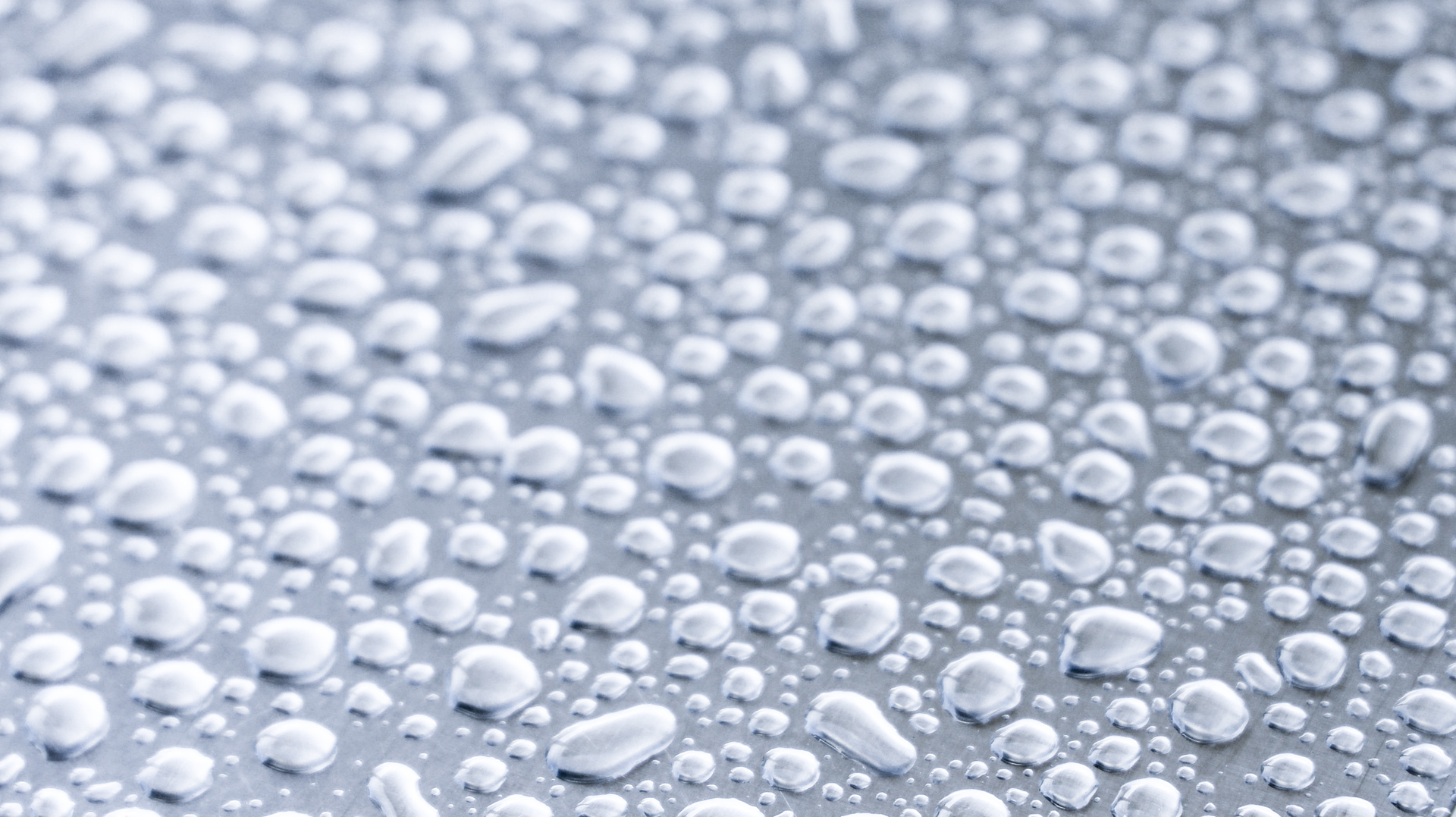 Pat Whelen Qv Rc0 F Un Y U Unsplash 5fe106251c29b