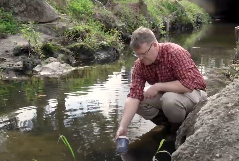 Uf You Tube 5fca934eba6b5