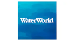 Ww Twitter