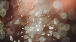 Kelly Sikkema Xm65 G Ldt N7 A Unsplash