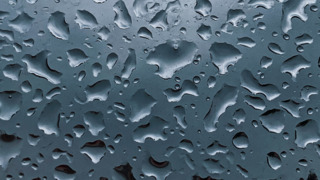 Pexels Dids 4420454 2 5fa415357898f 5fc900470d82a