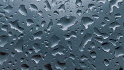 Pexels Dids 4420454 2 5fa415357898f 5fc900470d82a Pexels Dids 4420454 2 5fa415357898f 5fc900470d82a