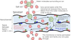 Diagram of the membrane. Water permeation is induced by the nanochannels. It is difficult for the ions to enter the nanochannels, so they cannot permeate the membrane easily. Diagram of the membrane. Water permeation is induced by the nanochannels. It is difficult for the ions to enter the nanochannels, so they cannot permeate the membrane easily.